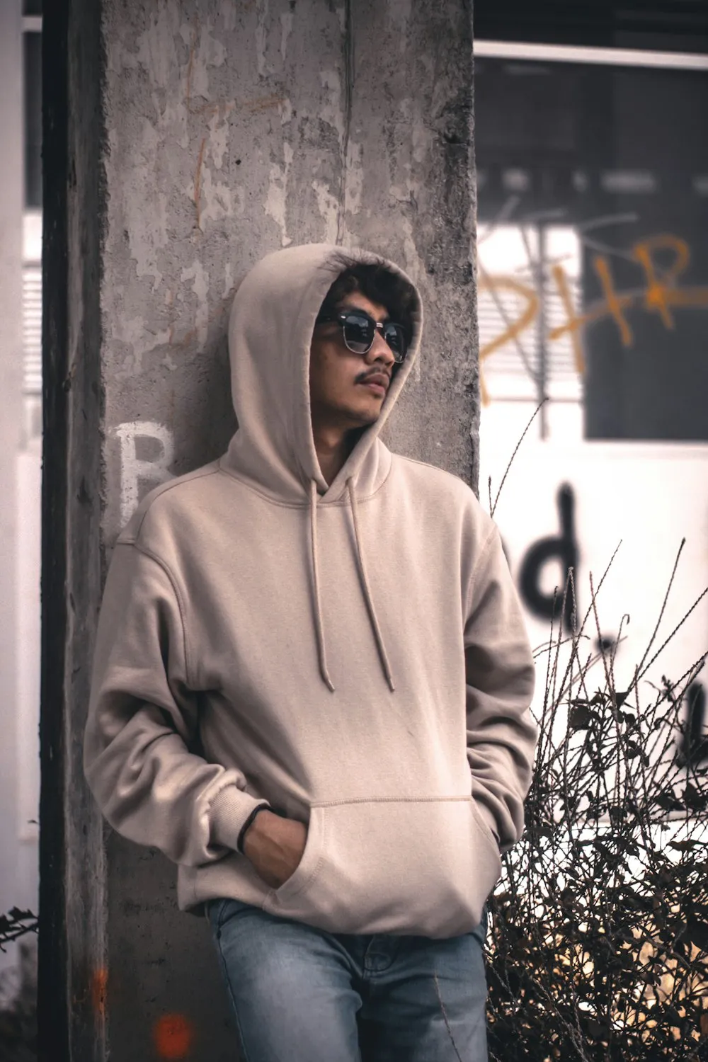 Polerones — modelo 1